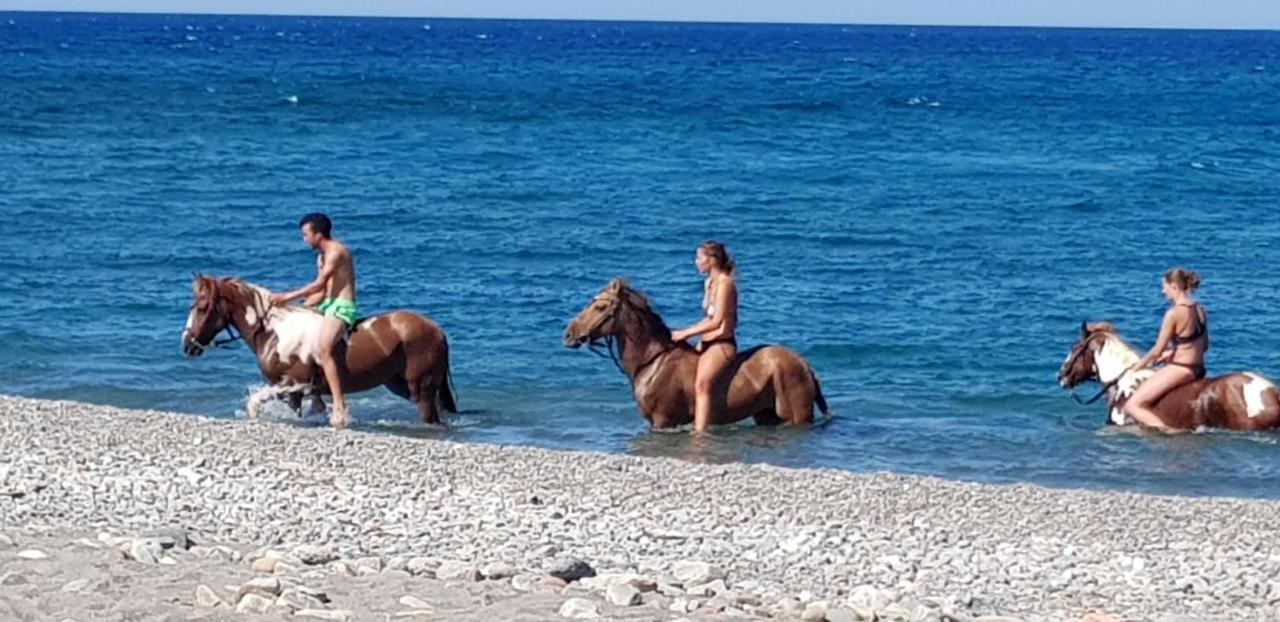 Beach Cottage Ταυρωνίτης Εξωτερικό φωτογραφία